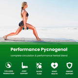 NutraChamps Pycnogenol: concentré de betterave lié à la circulation.