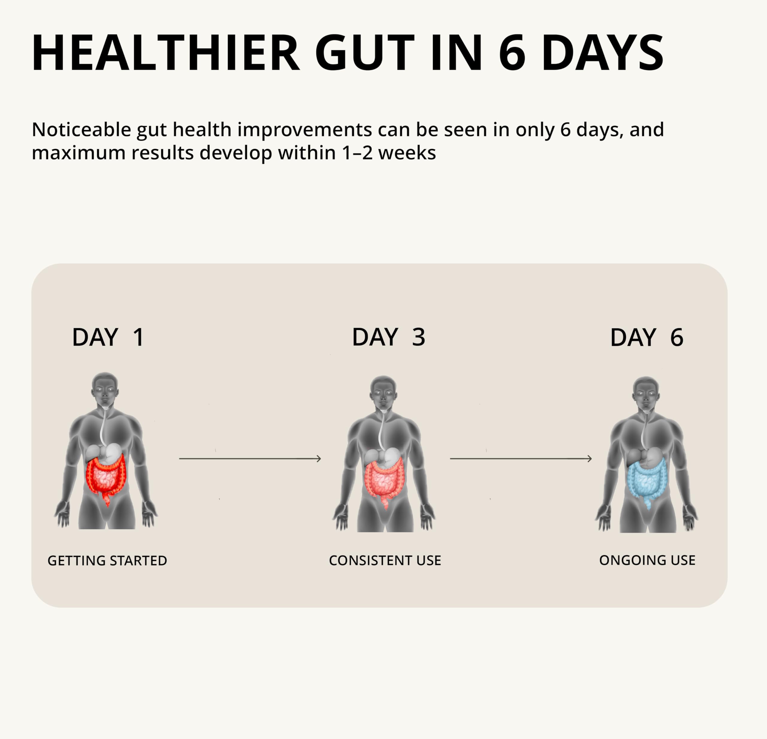 Nutragenis – coffret gélules, potentiel soutien métabolique et énergie naturelle.