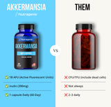 Gélules Nutragenis – alliance Akkermansia et Inuline, favorisant le confort digestif quotidien.