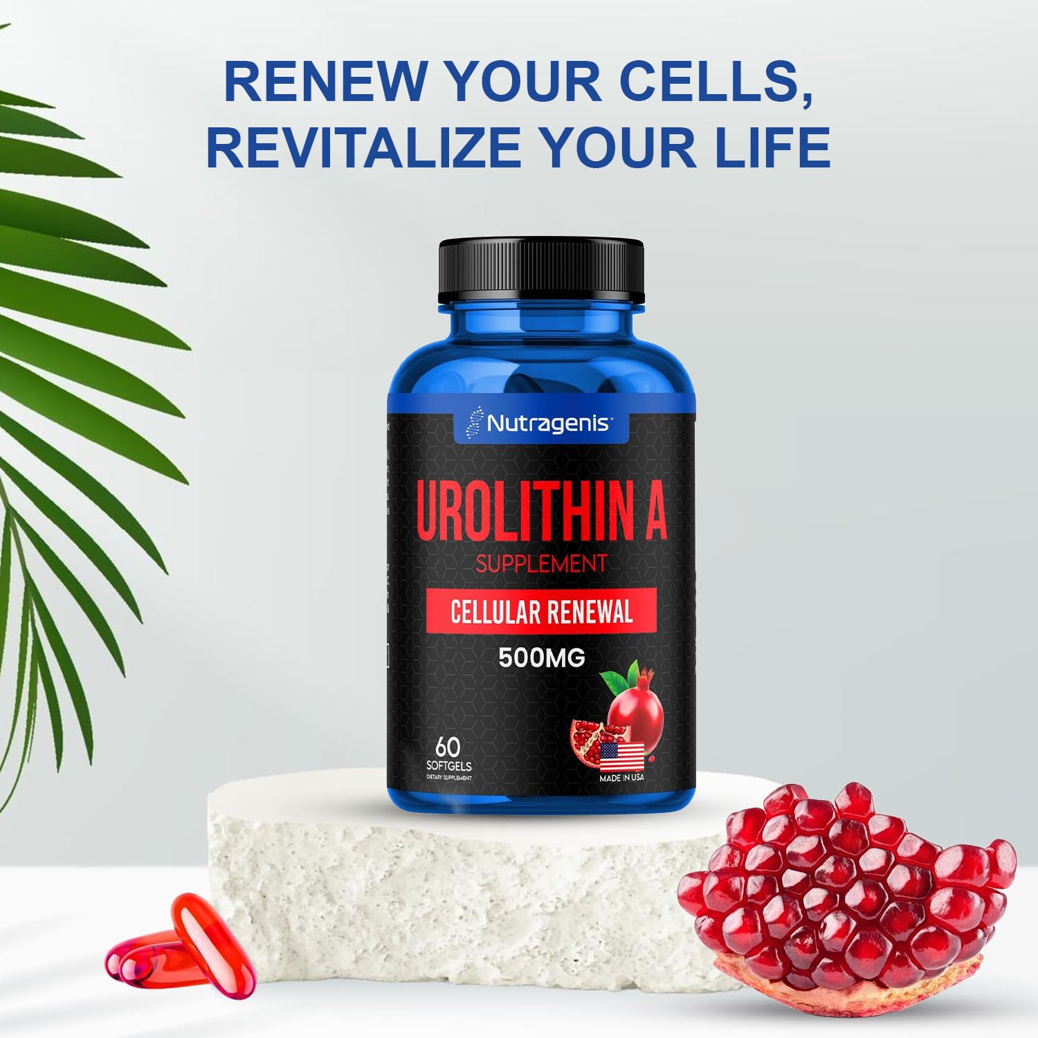 Nutragenis Urolithin A, utilisation quotidienne simple intégrée à votre routine