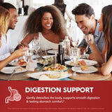 NUTRAHARMONY ACV capsules teste-dans-laboratoire-gmp: tests en laboratoire et normes GMP.