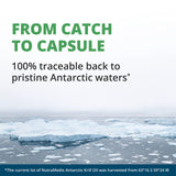 NutraMedix absorption renforcée – image mettant en avant meilleure biodisponibilité.