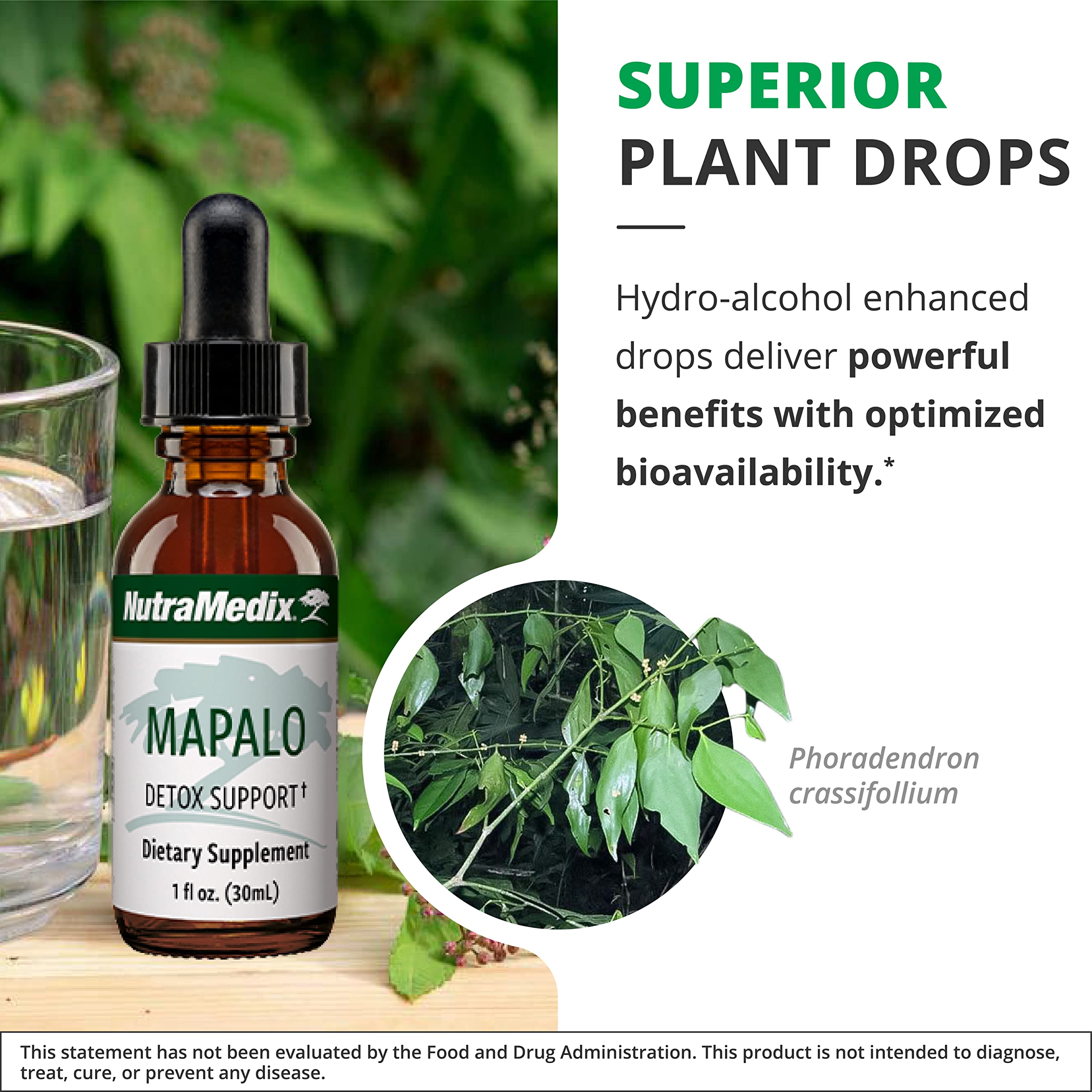 NutraMedix Mapalo – extrait herbacé prêt à mélanger.