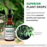 NutraMedix Mapalo – extrait herbacé prêt à mélanger.