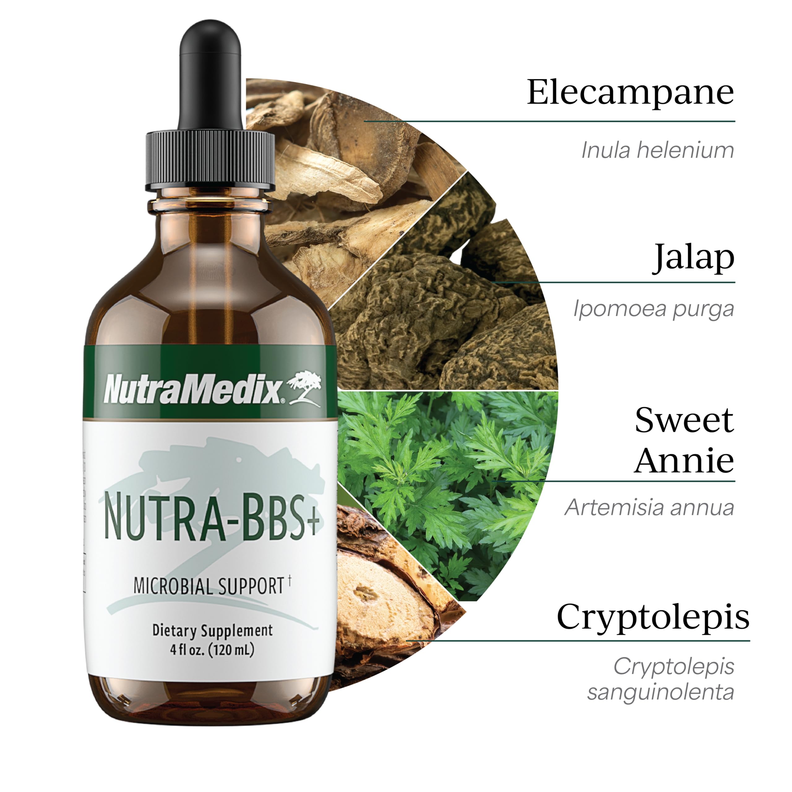 Nutra-BBS+ racine-elecampane: usage naturel et soutien microbien potentiel