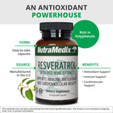 NutraMedix Résveratrol: polyphénols présents, source d’antioxydants.
