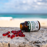 NutraMedix soutien potentiel santé globale – routine quotidienne visibles.