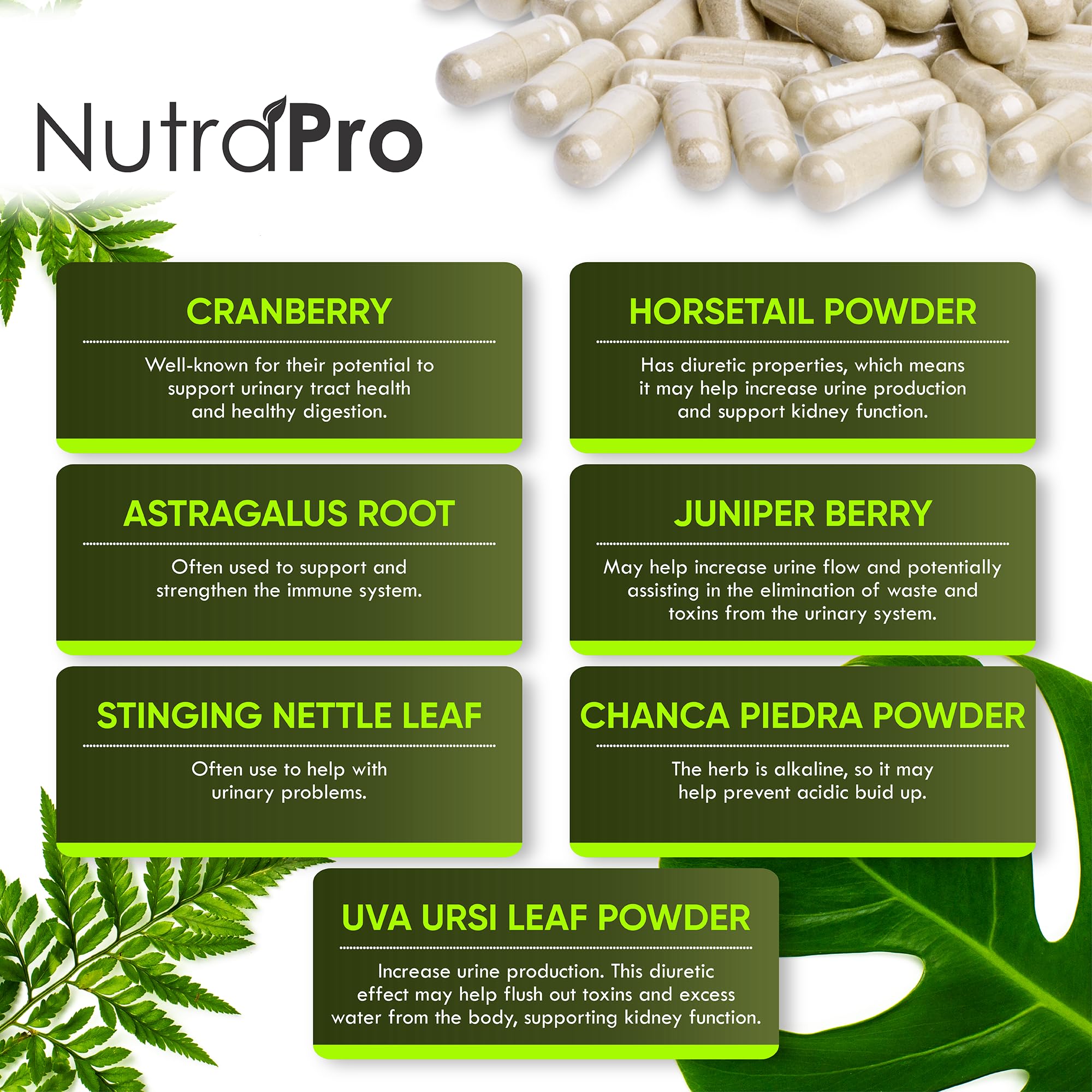 NutraPro Kidney Cleanse – ingrédients clés comme Cranberry et Chanca Piedra pour detox.