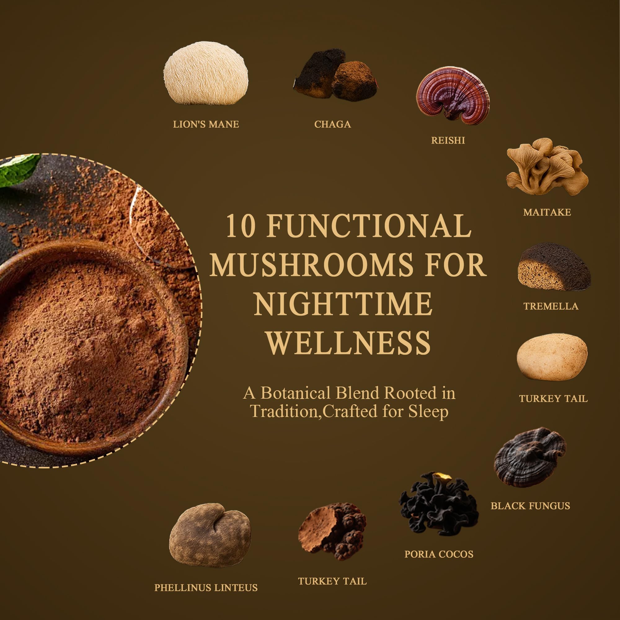 Nutrataste chocolat-crème champignons 10: texture riche et veloutée.