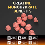 Gommes saveur fraise Nutravita, dégustation agréable après l’entraînement.