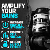 Nutrex Creatine monohydrate – produit fabriqué aux États‑Unis, qualité premium.