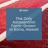 BioAstin Nutrex Hawaii — idéal pour adultes et enfants selon les besoins