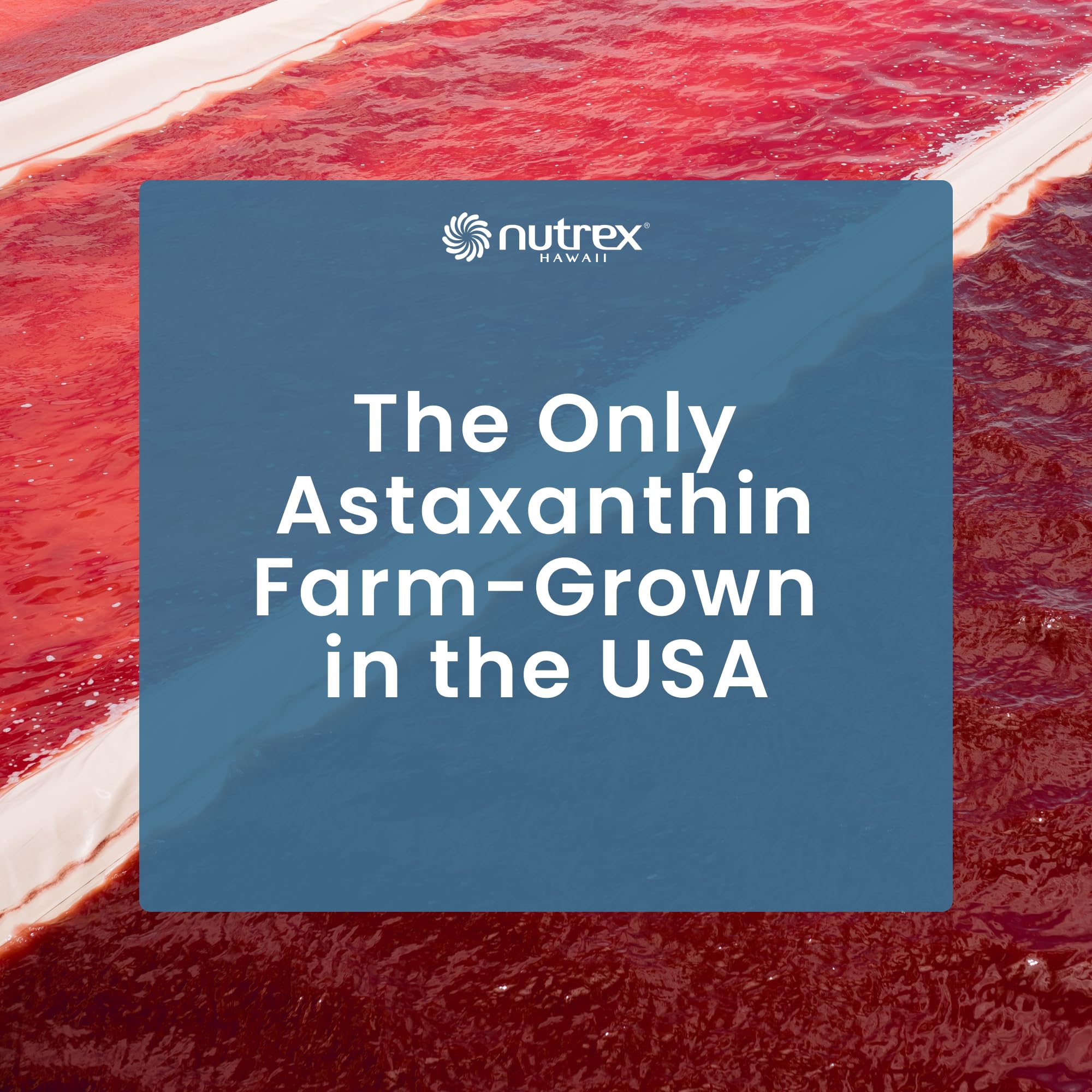 EyeAstin utilise Haematococcus pluvialis cultivée à Kona pour des antioxydants naturels.