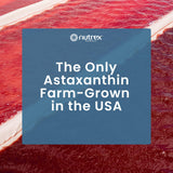 EyeAstin utilise Haematococcus pluvialis cultivée à Kona pour des antioxydants naturels.