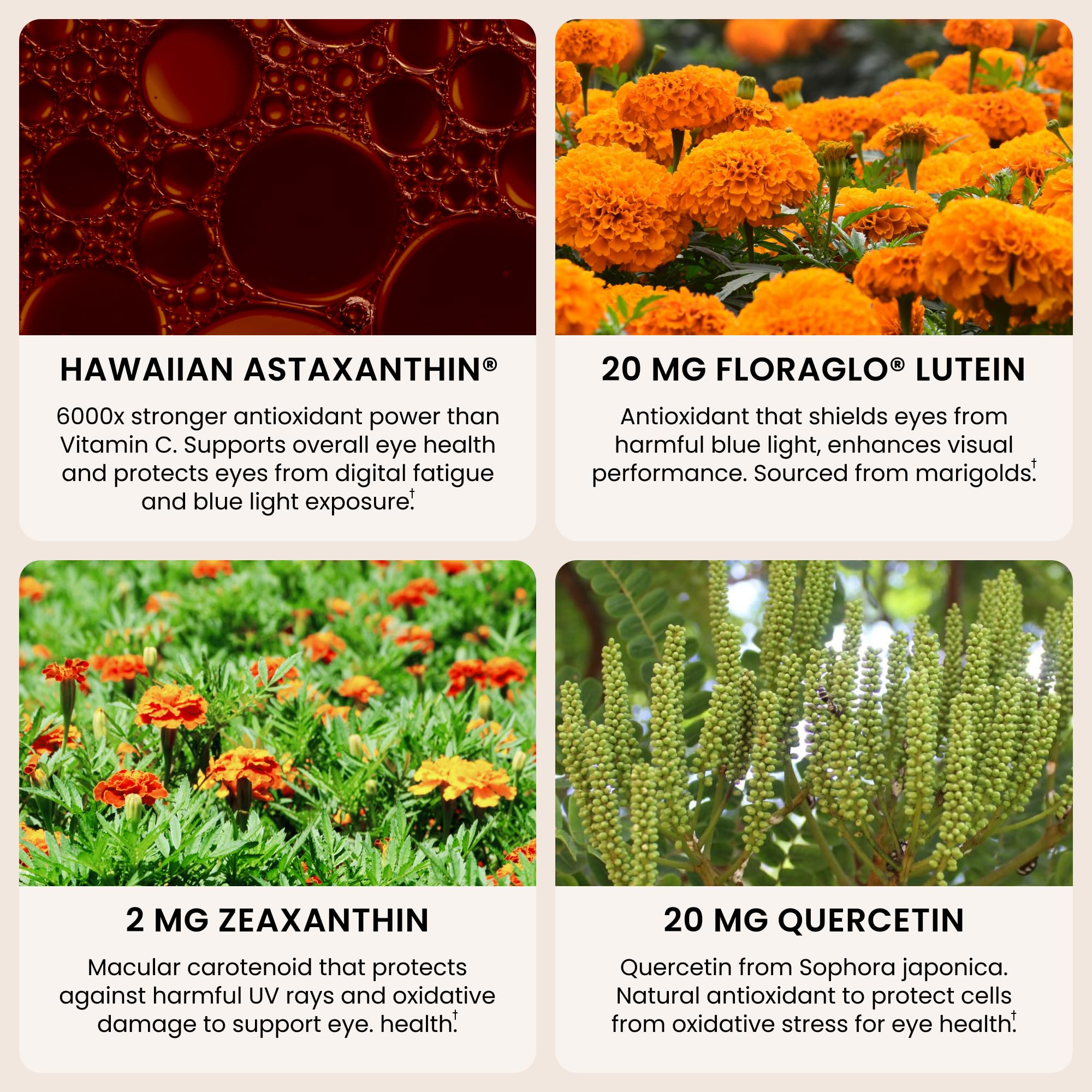 Tableau des nutriments EyeAstin montrant BioAstin et nutriments clés.