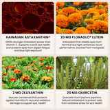 Tableau des nutriments EyeAstin montrant BioAstin et nutriments clés.