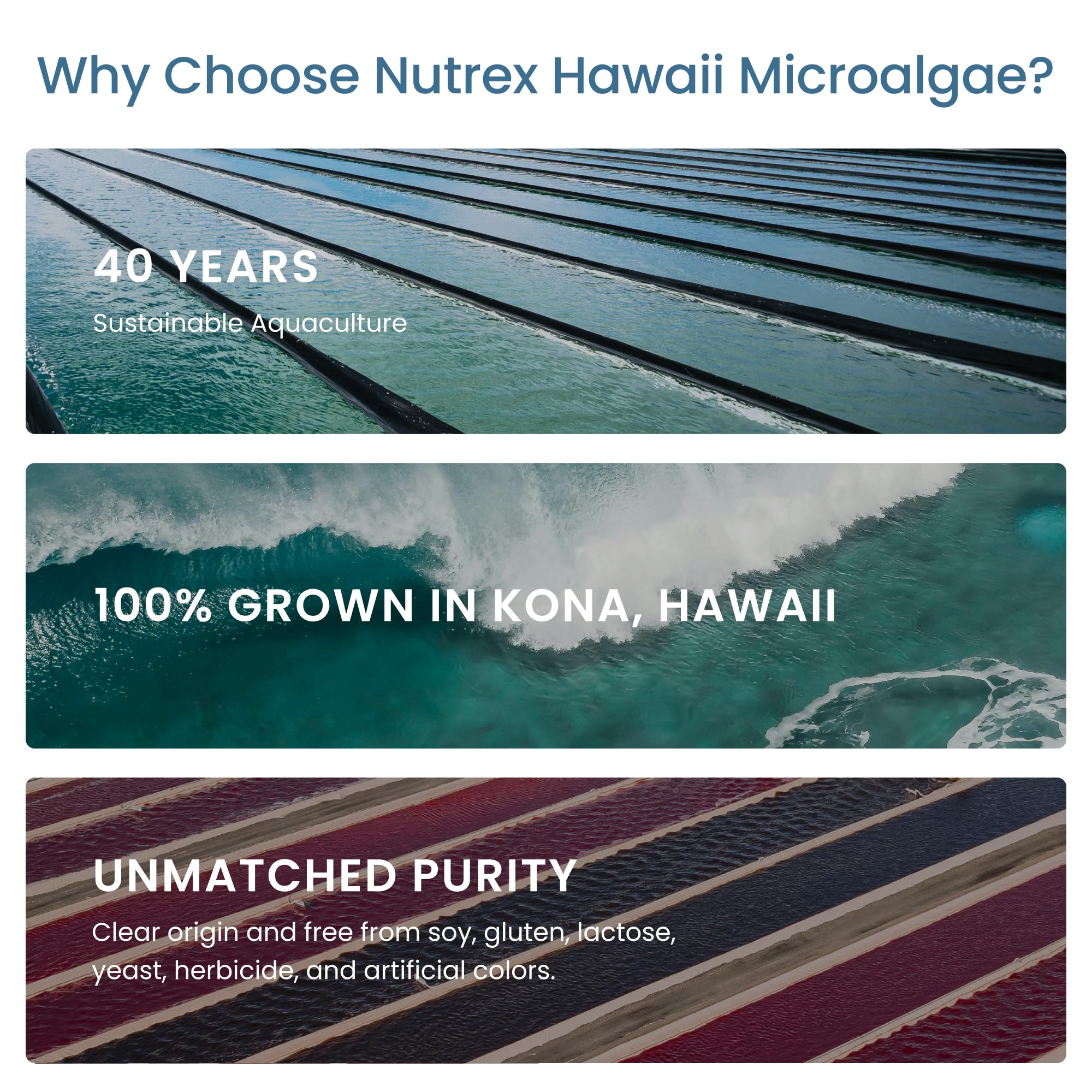 Nutrex Hawaii Poudre Spiruline Hawaienne énergie durable suggère un soutien énergétique naturel