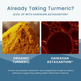Nutrex Hawaii TurmericAstin — étiquette mettant en avant curcuminoïdes naturels.