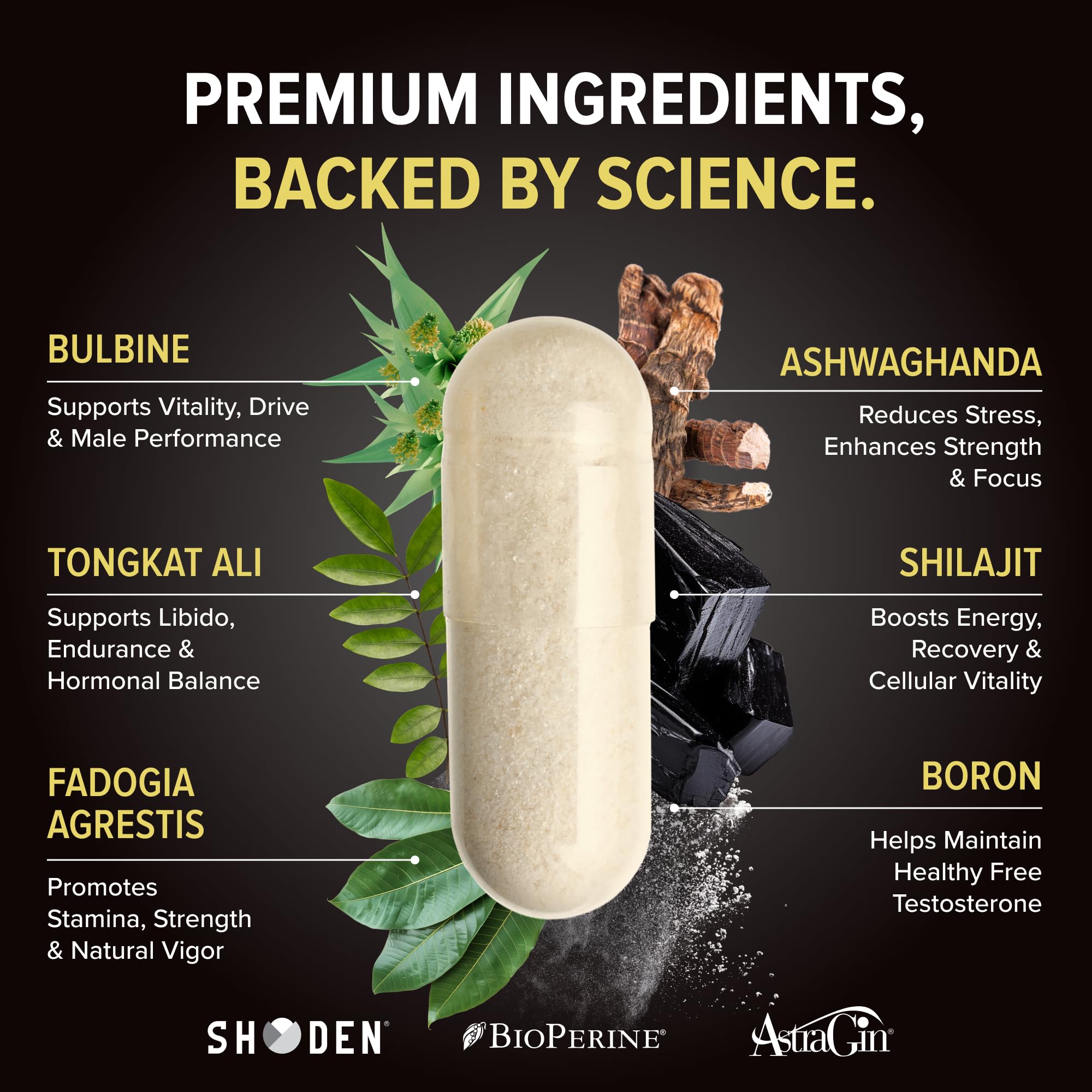 Dose Alpha-T Magnum montrant le format pratique pour les prises quotidiennes.