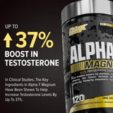 Ingrédients Alpha-T Magnum : aperçu des composants clés et de leurs usages possibles.