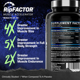 Nutrex Anabol PM épicatechine, bénéfice potentiel pour récupération nocturne.