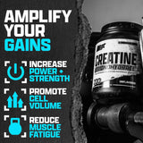Nutrex Research Créatine Monohydrate dose de 5 g pour des sessions plus intenses.