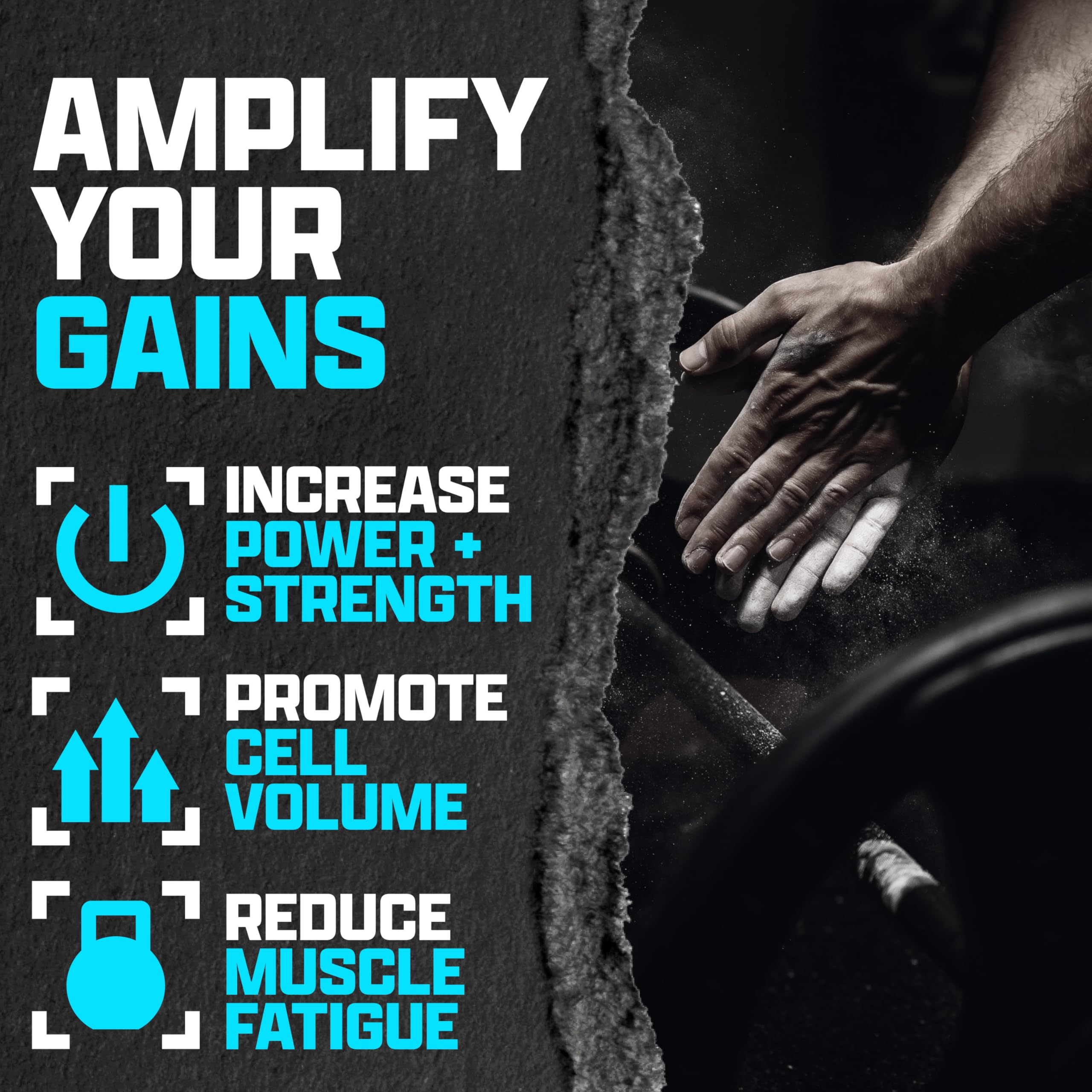 Nutrex Research Créatine Monohydrate – mélange rapide avec eau après l’entraînement.