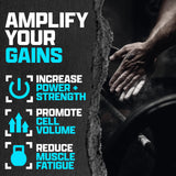 Texture micronisée de Nutrex Creatine Monohydrate pour une meilleure absorption.
