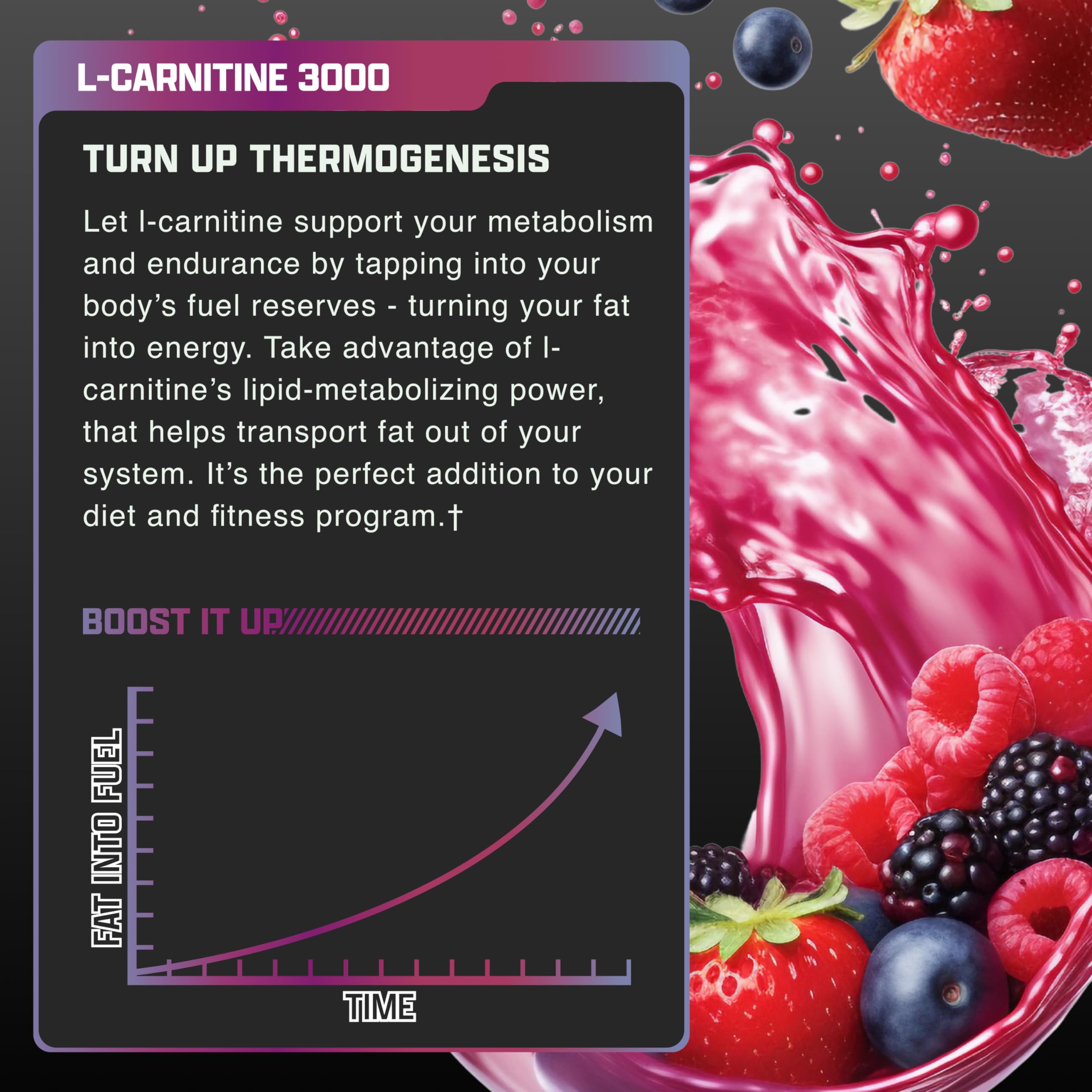 Nutrex Research L-Carnitine 3000 – emballage extérieur framboise, présentation et indications lisibles