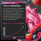 Nutrex Research L-Carnitine 3000 – emballage extérieur framboise, présentation et indications lisibles