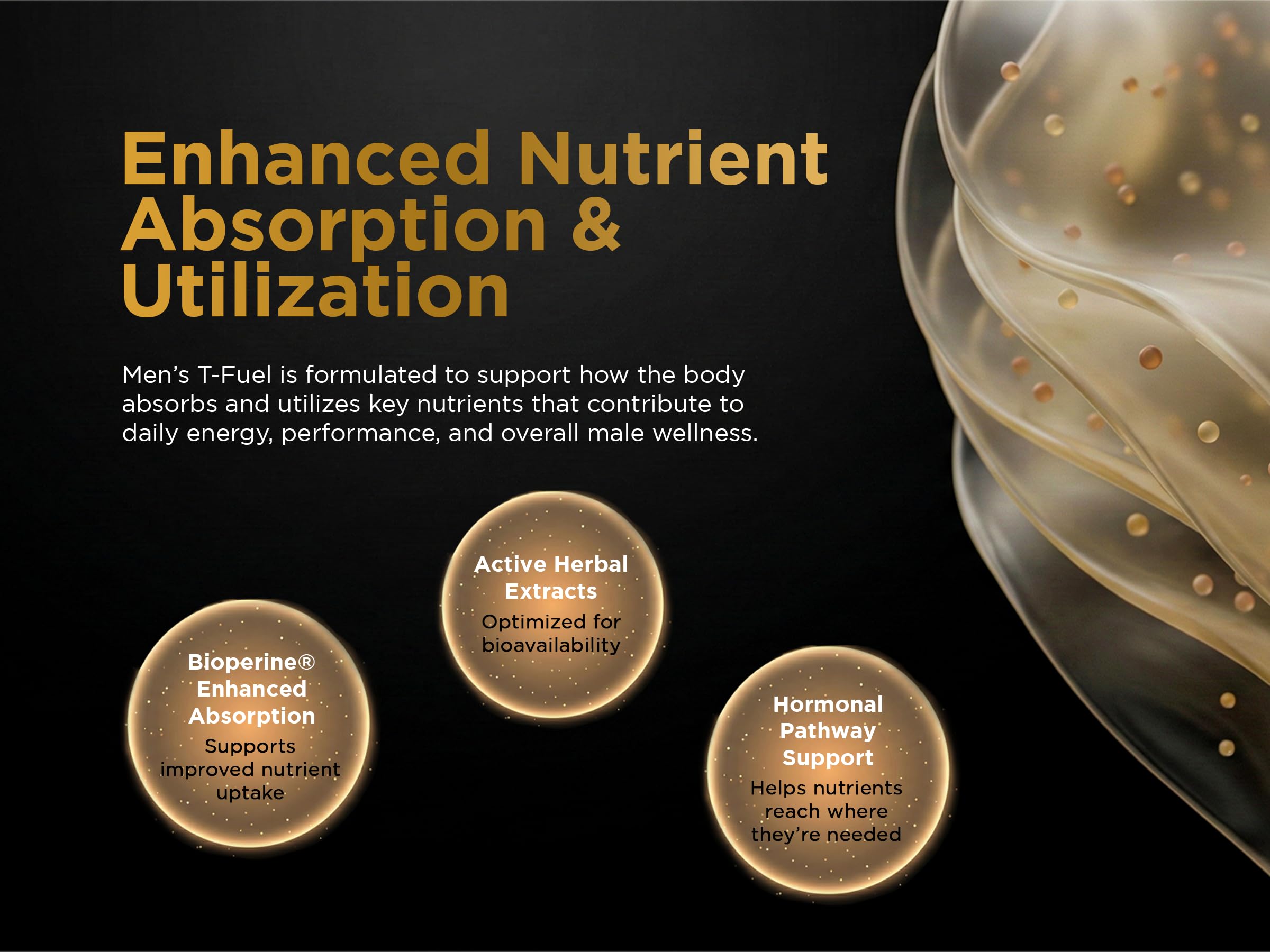 Nutri Apex Epimede Tribule Terrestre mis en avant dans la formule.