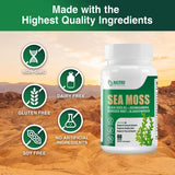 Gélules NUTRI POTENTIA emballage 60 gélules, format pratique sur 30 jours.