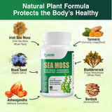 Gélules NUTRI POTENTIA chlorelle, apport végétal pratique.