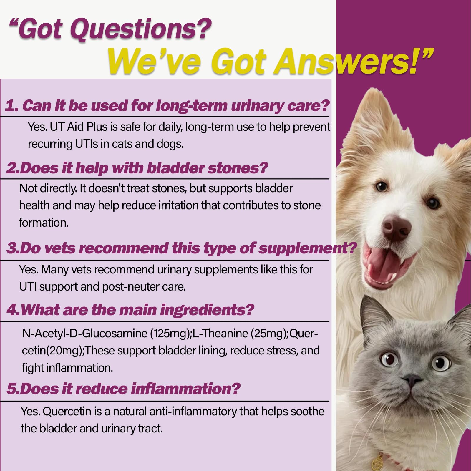 Nutriarise UT Aid Plus – prévention des infections urinaires possibles chez les animaux.