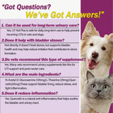 Nutriarise UT Aid Plus – prévention des infections urinaires possibles chez les animaux.