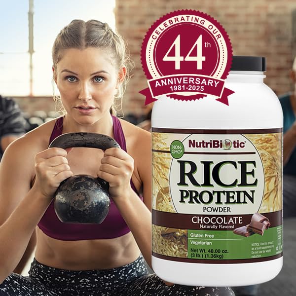 NutriBiotic protéine riz chocolat – parfait pour petit-déjeuner nourrissant