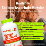 Poudre NutriBiotic avec doseur — facilité dosage et mélange rapide.