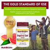 Gros plan sur les tablettes NutriBiotic GSE montrant leur texture prête à avaler.