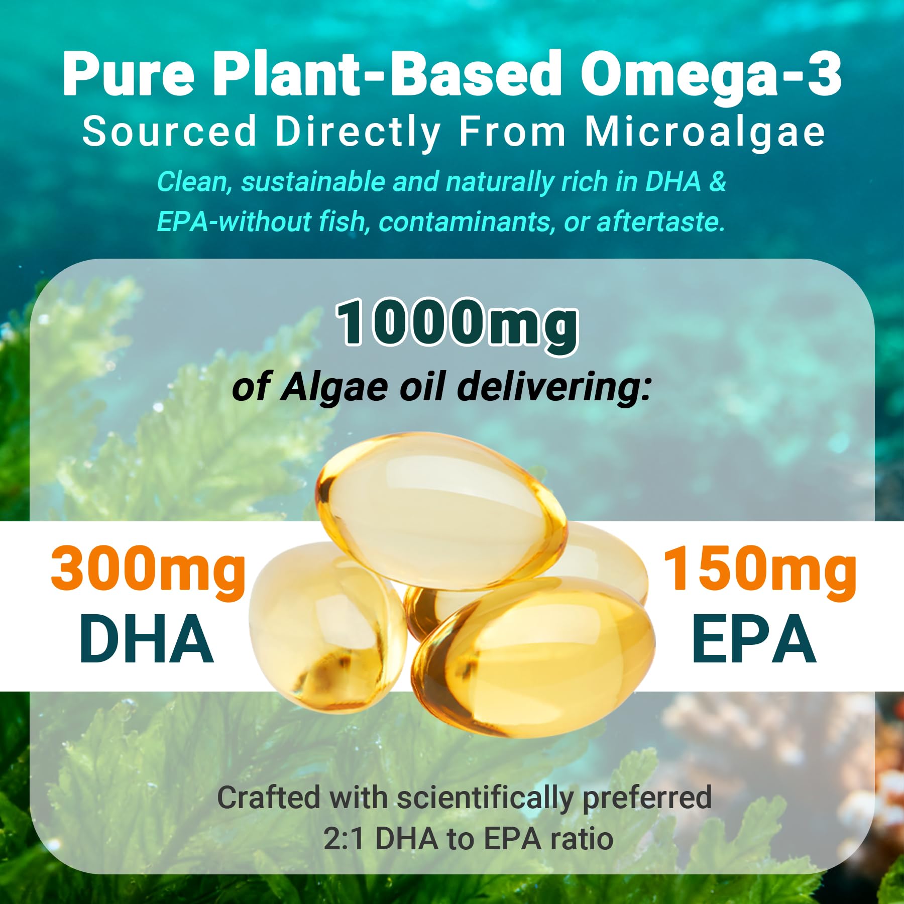 Nutribota Omega 3 végan – dosage quotidien facile et adaptée aux végétariens.