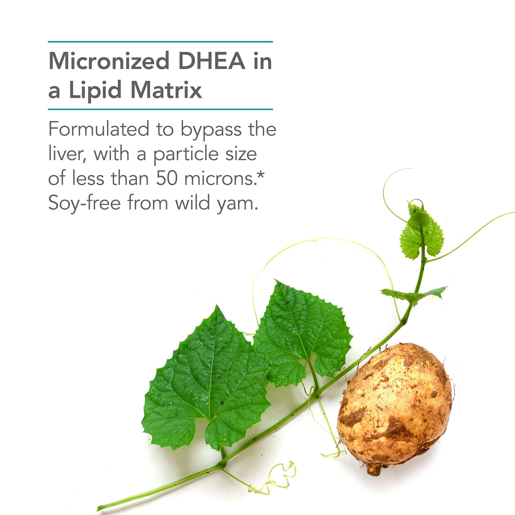 Source yam sauvage non irradié, formulation naturelle et hypoallergénique.