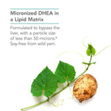 Source yam sauvage non irradié, formulation naturelle et hypoallergénique.