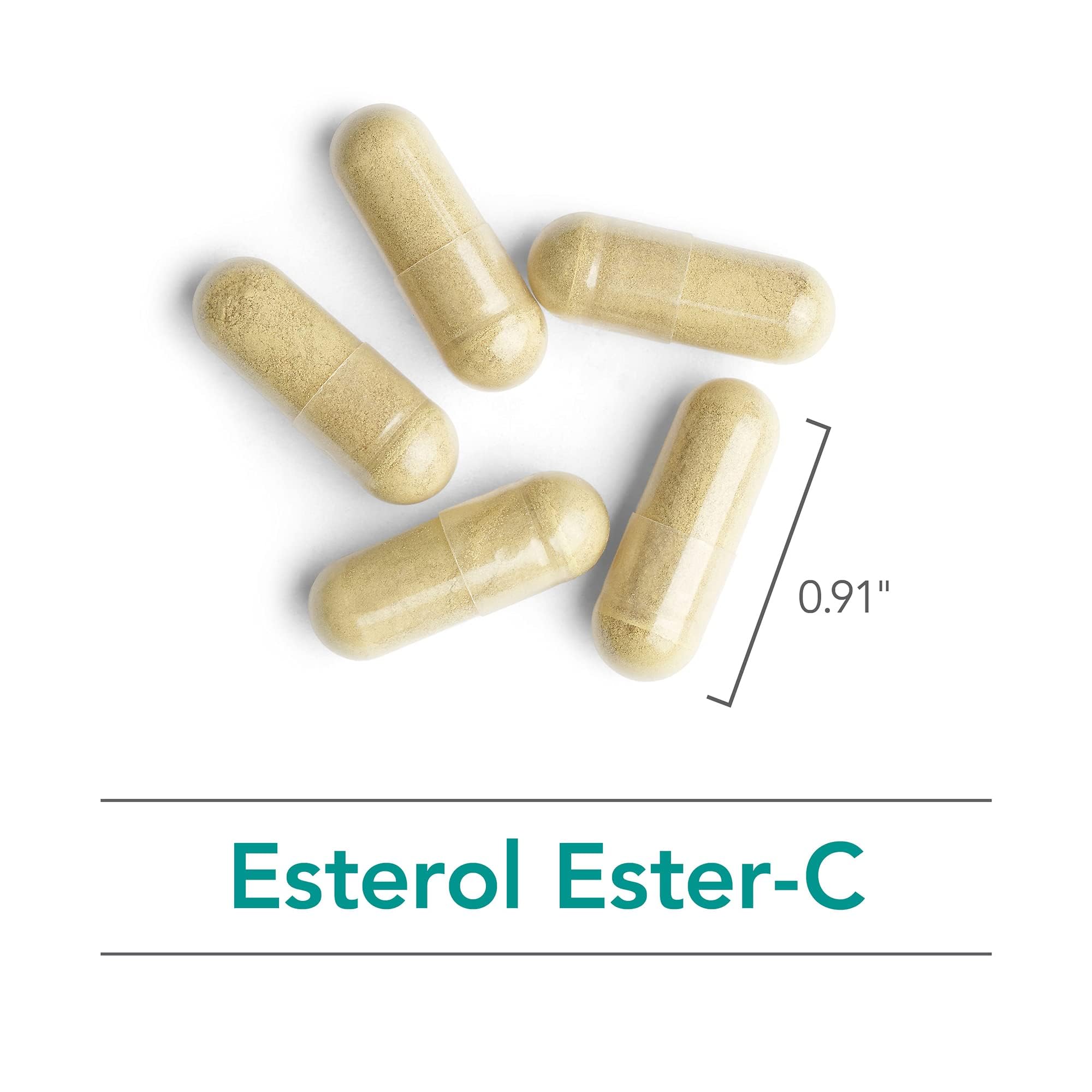 Nutricology Esterol avec quercetine et rutin pour une protection antioxydante potentielle.