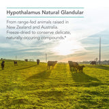 Nutricology Hypothalamus : aperçu des capsules, accent sur la texture et la facilité d'usage.