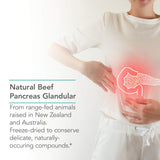 Tissu pancréatique porcin lyophilisé utilisé par Nutricology Pancreas Porc 425 mg.