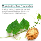 Nutricology Pregnenolone — formulation avancée dans une matrice lipidique