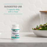 Nutricology Usage Quotidien — conseils d'utilisation simples.