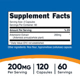 Capsules végétariennes Nutricost Artémisinine – dosage quotidien pratique