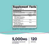 Gros plan sur les gélules Nutricost chasteberry, pratique pour la routine quotidienne.