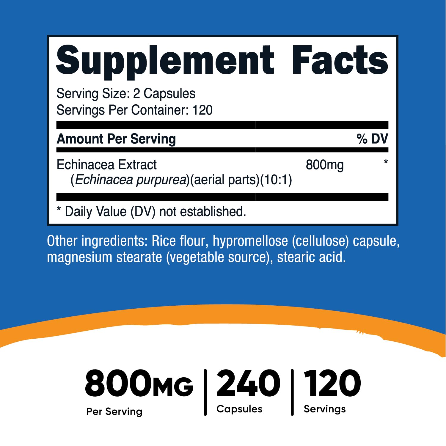 Nutricost Echinacea – capsules végétariennes faciles à avaler pour votre quotidien