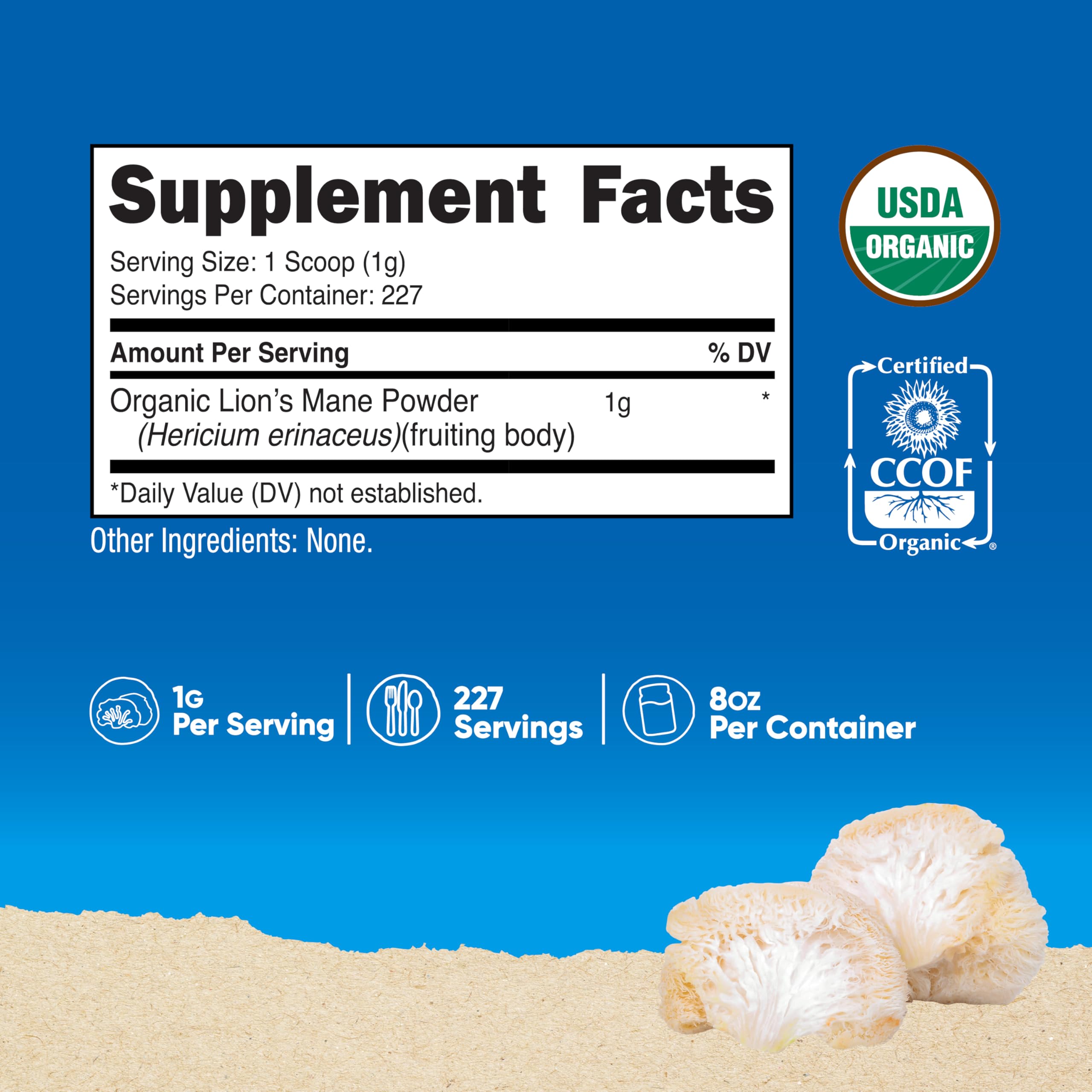 Nutricost poudre criniere de lion doseur, mesurer facilement chaque portion.